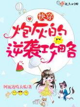 网红大瓜小说免费阅读